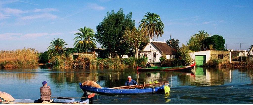 barca valencia albufera
