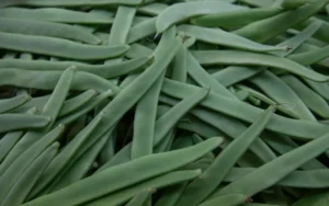 fagiolini piatti per la paella