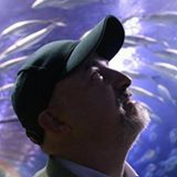 guida italiana Valencia Alessandro